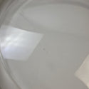 Electrolux Washer Doors 5304529631 Washer Electrolux