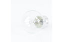 Whirlpool Range Light Bulbs / LEDs W10888179 (OEM) Range Whirlpool
