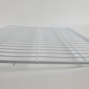 Midea Refrigerator & Freezer Shelves 12931000003183 (OEM) Refrigerator & Freezer Midea