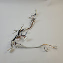 Electrolux Microwave Wiring Harnesses 5304536596 (OEM) Microwave Electrolux