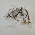 Electrolux Microwave Wiring Harnesses 5304523279 Microwave Electrolux