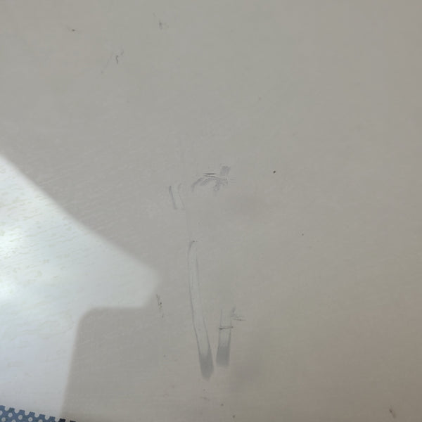 Electrolux Range Glass 5304527735