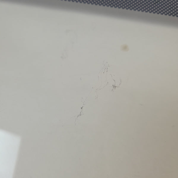 Electrolux Range Glass 5304527735