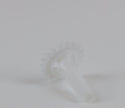 WPW10474715 Gear Whirlpool Refrigerator & Freezer Misc. Parts Appliance replacement part Refrigerator & Freezer Whirlpool   