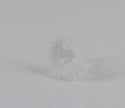 WPW10474715 Gear Whirlpool Refrigerator & Freezer Misc. Parts Appliance replacement part Refrigerator & Freezer Whirlpool   