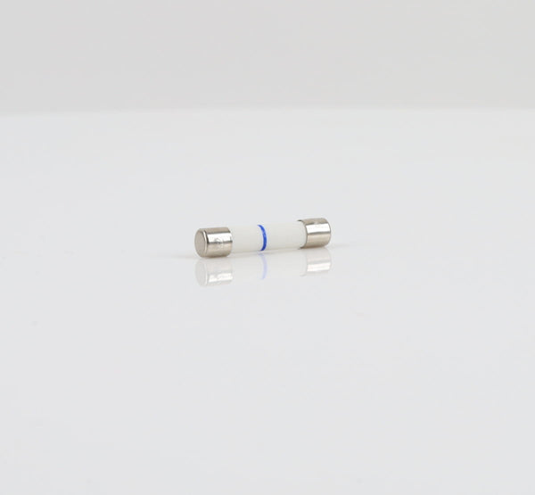 GE Microwave  WB27X10928 Fuses Microwave GE   