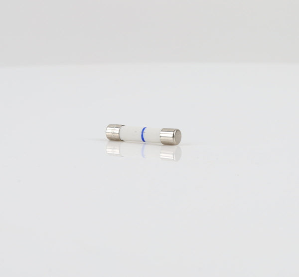 GE Microwave  WB27X10928 Fuses Microwave GE   