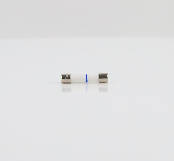 GE Microwave  WB27X10928 Fuses Microwave GE   