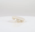 Filter Washer Misc. Parts W11568797 Maytag (OEM) Washer Maytag