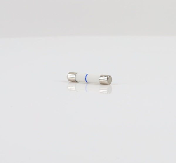 GE Microwave  WB27X10928 Fuses Microwave GE   