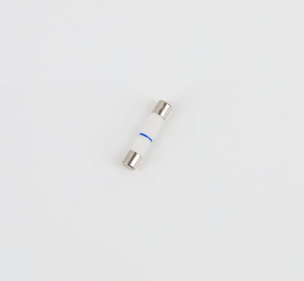 GE Microwave  WB27X10928 Fuses Microwave GE   