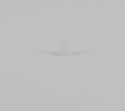 WP21258 | Lid hinge bearing | Whirlpool | Washer | Misc. Parts Washer Whirlpool   