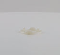 Whirlpool Washer Clips WP3355454 (OEM) Washer Whirlpool