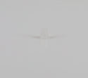 WP21258 | Lid hinge bearing | Whirlpool | Washer | Misc. Parts Washer Whirlpool   