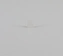 WP21258 | Lid hinge bearing | Whirlpool | Washer | Misc. Parts Washer Whirlpool   