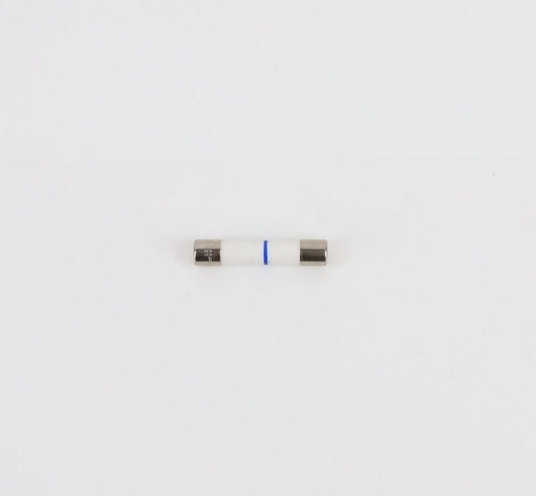 GE Microwave  WB27X10928 Fuses Microwave GE   