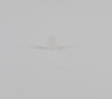 WP21258 | Lid hinge bearing | Whirlpool | Washer | Misc. Parts Washer Whirlpool   