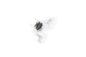 LG Dryer Thermostats AGM30045804 (OEM) Dryer LG
