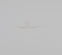 WP21258 | Lid hinge bearing | Whirlpool | Washer | Misc. Parts Washer Whirlpool   